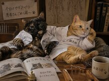 スクナビコナ鍼灸院/イメージ画