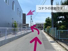 ルピナス(Lupinus.)/【道案内】