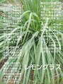 グロウ(grlow)/桃原