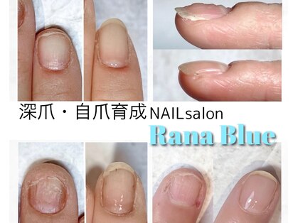 ラーナ ブルー(Rana Blue)の写真