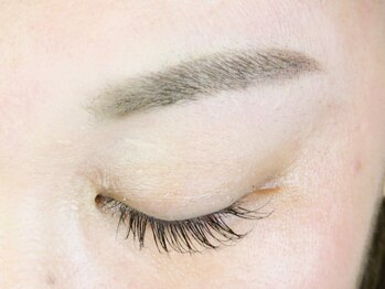 ベリスラッシュ(Bellis Lash)/◆まつげエクステ