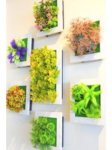 ケアリストステージ/ボタニカルな雰囲気