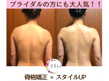 セル(CELL)の写真