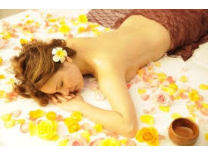 ララ(LALA)の写真