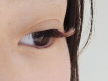 トリトン(triton)/ブラウン☆ボリュームラッシュ