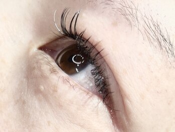 コボアイラッシュ(COVO.eyelash)/シングルラッシュ100本