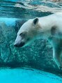 スタジオ ブースト 北浦和(Studio BOOST)&nbsp;北海道が大好き！旭山動物園は鉄板。また北海道グルメも◎