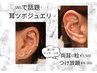 SNSで話題！モデル・芸能人もやってる【耳ツボジュエリー】両耳12粒¥3500～