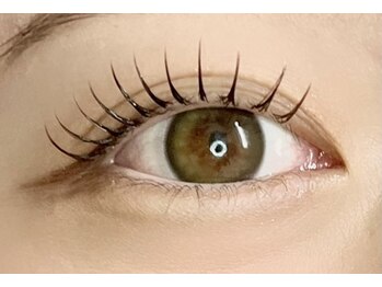 トリント 蘇我(TRINT)/フラットラッシュ100本