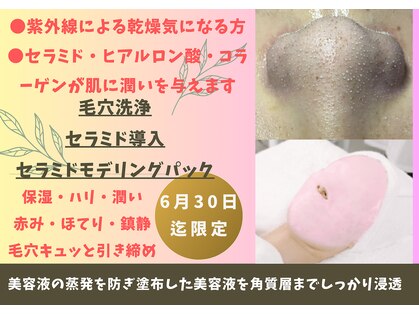 ビービー(BB)の写真