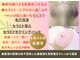 ビービー(BB)の写真