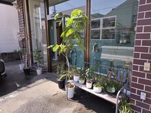 爪屋 藤原商店の雰囲気（高松の池すぐそば♪駐車場はお店の前2台がお使いいただけます！）