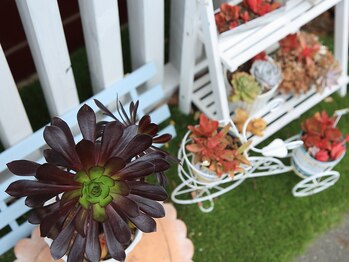 ビューティーサロン ルーナ(LUNA)/<LUNA>内観