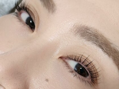 マツ(MATSU)の写真