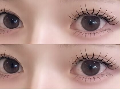 トランク(Trunk)の写真