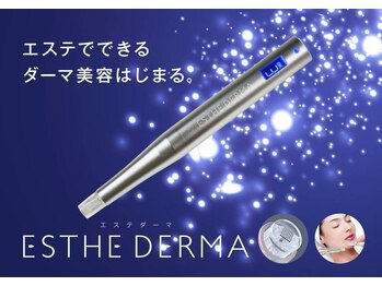 ビーフィール 福岡店(be feel)の写真/エステダーマでお肌のお悩み解消◎ハリツヤUPでしわ改善♪透明感のある滑らか美肌へ♪凹凸肌やニキビケアに