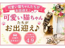 エスポリー(ESPORY)の雰囲気（可愛い猫ちゃんたちがおります♪）