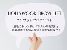 ハリウッドブロウリフト ワクシー 青山店(HOLLYWOOD BROW LIFT WAXYYY.)/HOLLYWOOD BROW LIFT