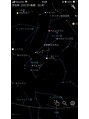 アムール(Amour)&nbsp;星を見るのが好きです！今年もたくさん見たいです^ ^