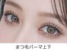 まつ毛パーマ上下セット