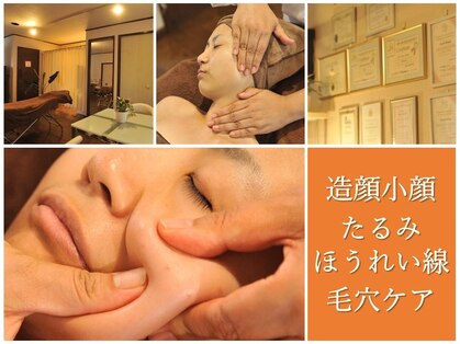 プロエステマザーの写真