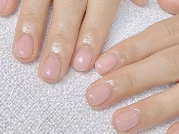 ネリネ(Nerine)/オーロラ