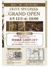 OPENING CAMPAIGN