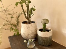 店内は植物が多くあり日頃の疲れを癒してくれます♪