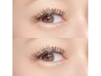 フーフロー(Fooflow)/パーフェクトラッシュ120束