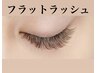 フラットラッシュ100本　¥6300　（LEDグルー￥6930）