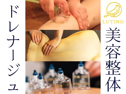 ルチノ(LUTINO)の写真