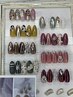 【OPEN記念/ご新規様限定】サンプルコース《アート》 ￥8250→￥6600