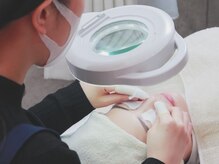 ジプソフィラフィフティドット(gypsophira15.)