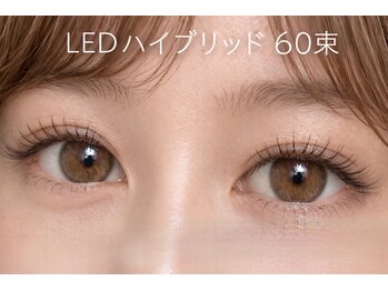 チック(chick)/LEDハイブリッド60束◇超高持続