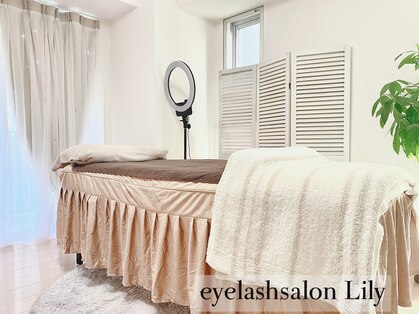 リリー(Lily)の写真