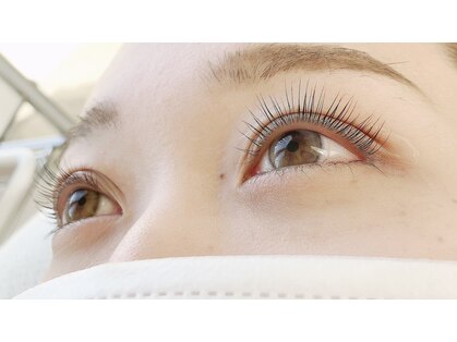 シーラッシュ(Sea Lash)の写真