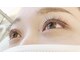 シーラッシュ(Sea Lash)の写真