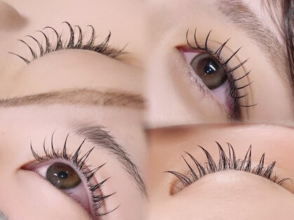 デイジー(Daisy)の写真