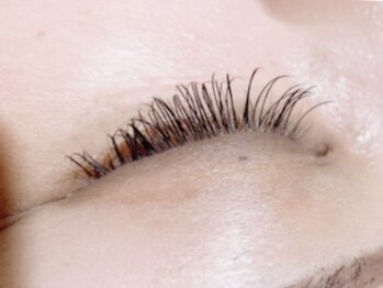 カラン 焼津店(CALIN)/フラットラッシュ120本☆