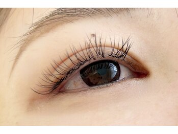 シマー(shimmer)/バインドロック50束