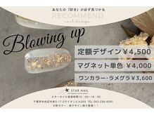 スターネイル(STAR NAIL)