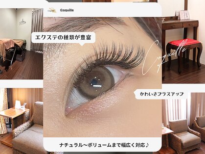 コキーユ(Coquille)の写真
