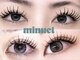 ミヌエット(minuet)の写真