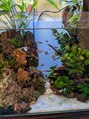 ラモアナ 京橋店(lamoana)&nbsp;アクアリウム水耕栽培が上手くいき、水質は良好です。