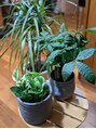 エピ エピ プラス イオンモール宇城店(EPI*EPI+)&nbsp;観葉植物育ててます！