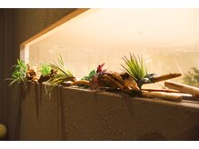 イザナイ(IZANAI)/オプションメニューも有り