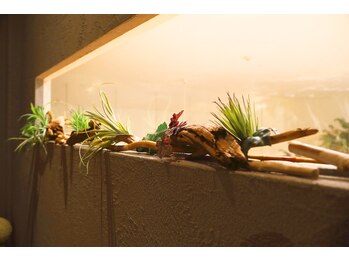 イザナイ(IZANAI)/オプションメニューも有り