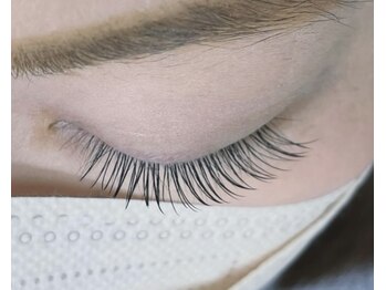 ルチア(Lucia)/フラットラッシュ120本♪