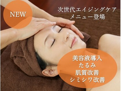 プロエステマザーの写真