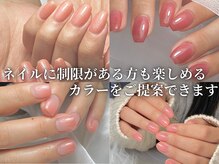 ラプア(Lapua)/ワンカラーorグラデーション